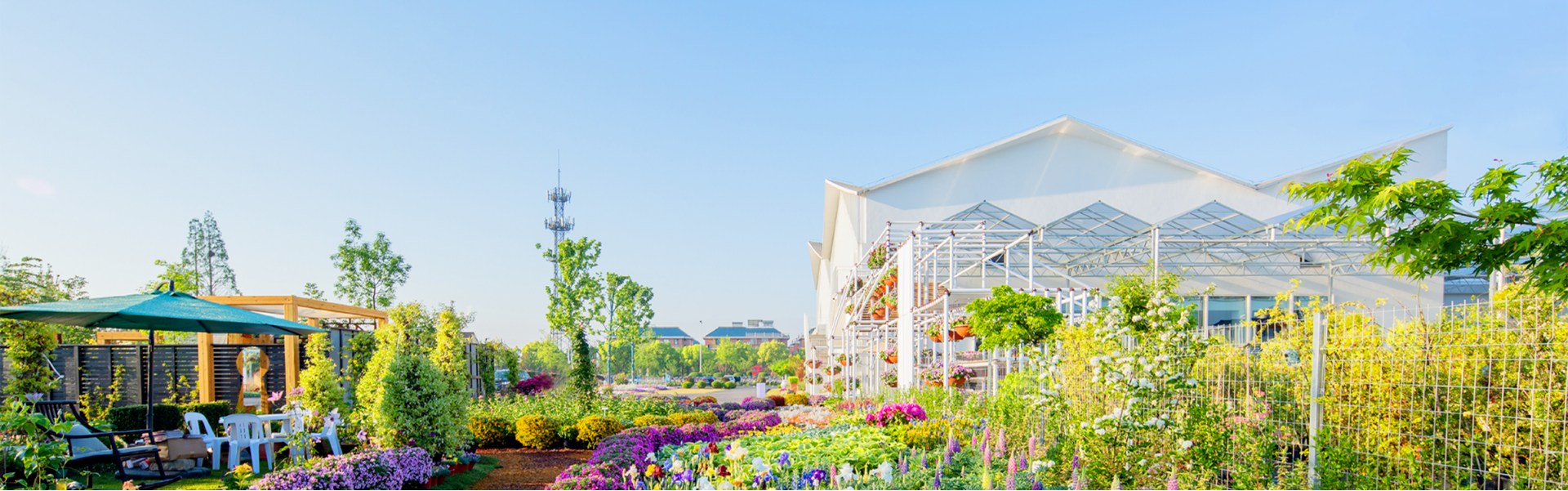 Company profile-About the rainbow-Hongyue Flower Co., Ltd.
