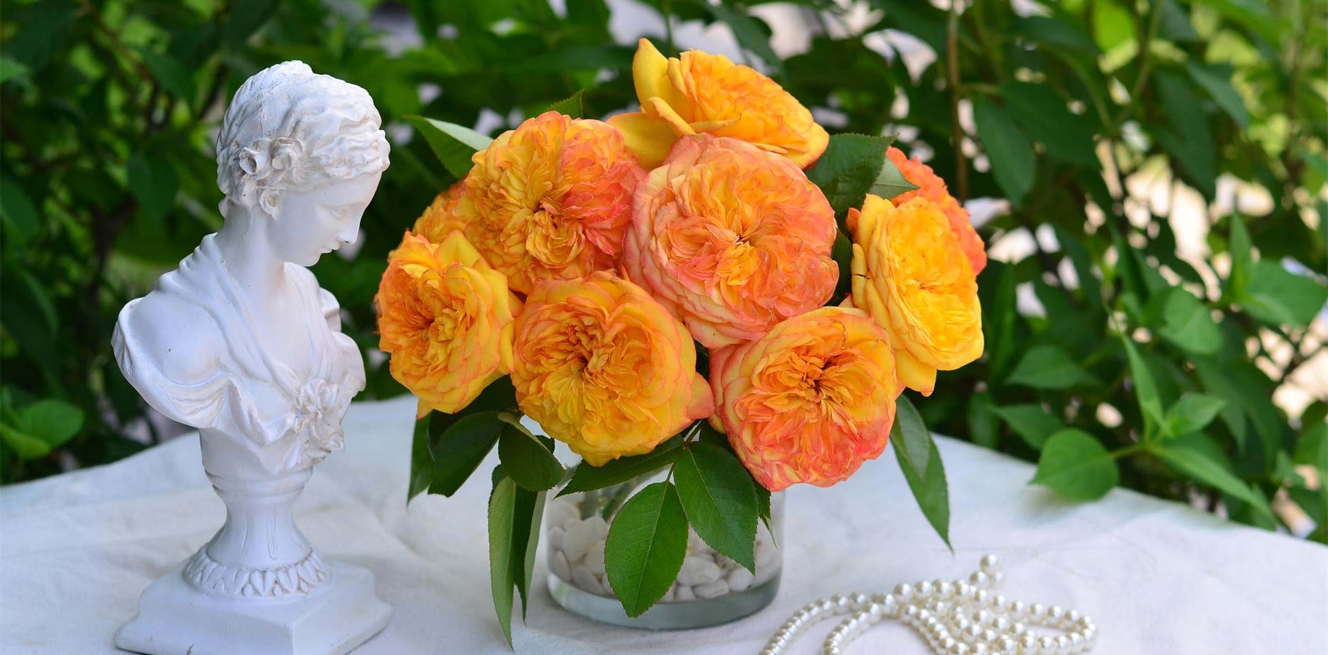 Hongyue Flower Co., Ltd.