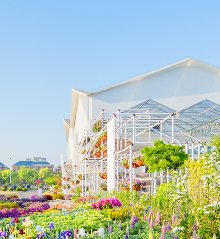 Company profile-About the rainbow-Hongyue Flower Co., Ltd.