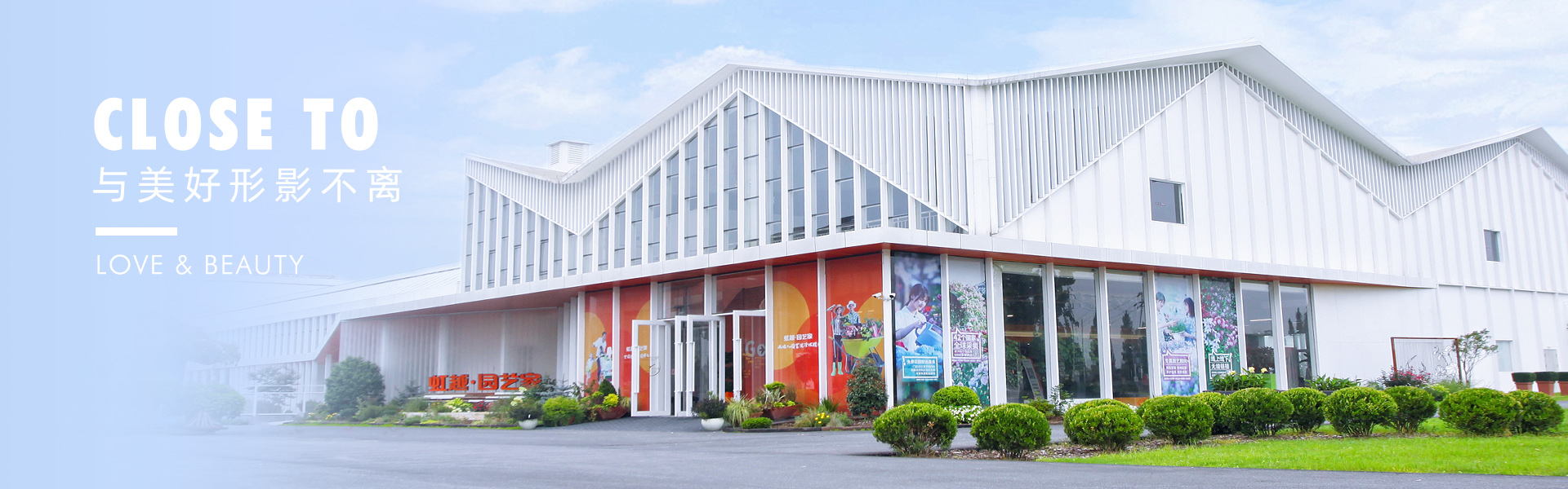 区域市场-亚美国际