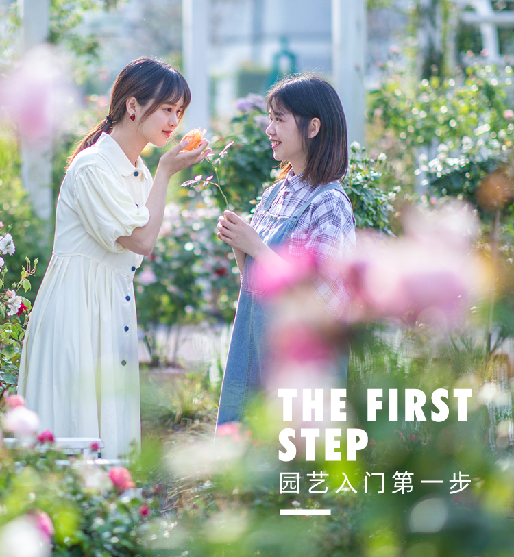 种草·养护部落-园艺创想-亚美国际