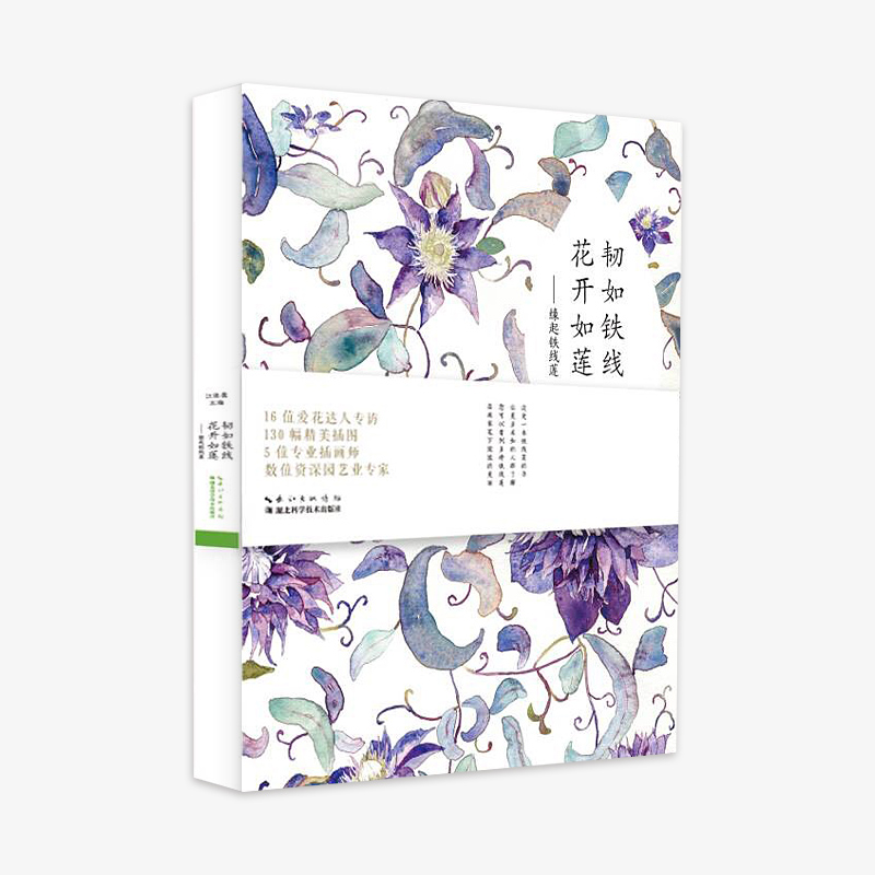 《韧如铁线，，，，，，花开如莲》