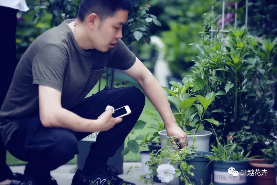 史上最硬核花园主，，，是怎样拿下三年绣球比美冠军的？？？？？？