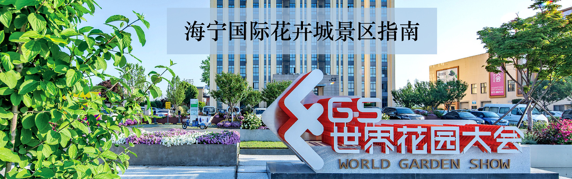 你好呀，，，，，，2024亚美国际年度植物-新闻资讯-亚美国际