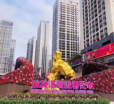 都会花展-专业效劳-亚美国际