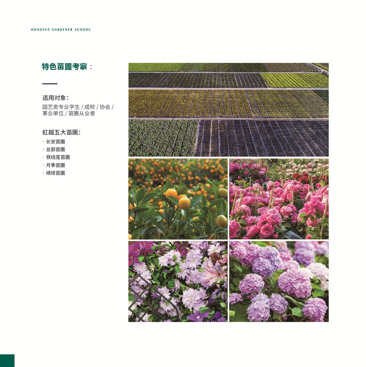 课程模？-定制班-园丁学院-专业效劳-亚美国际