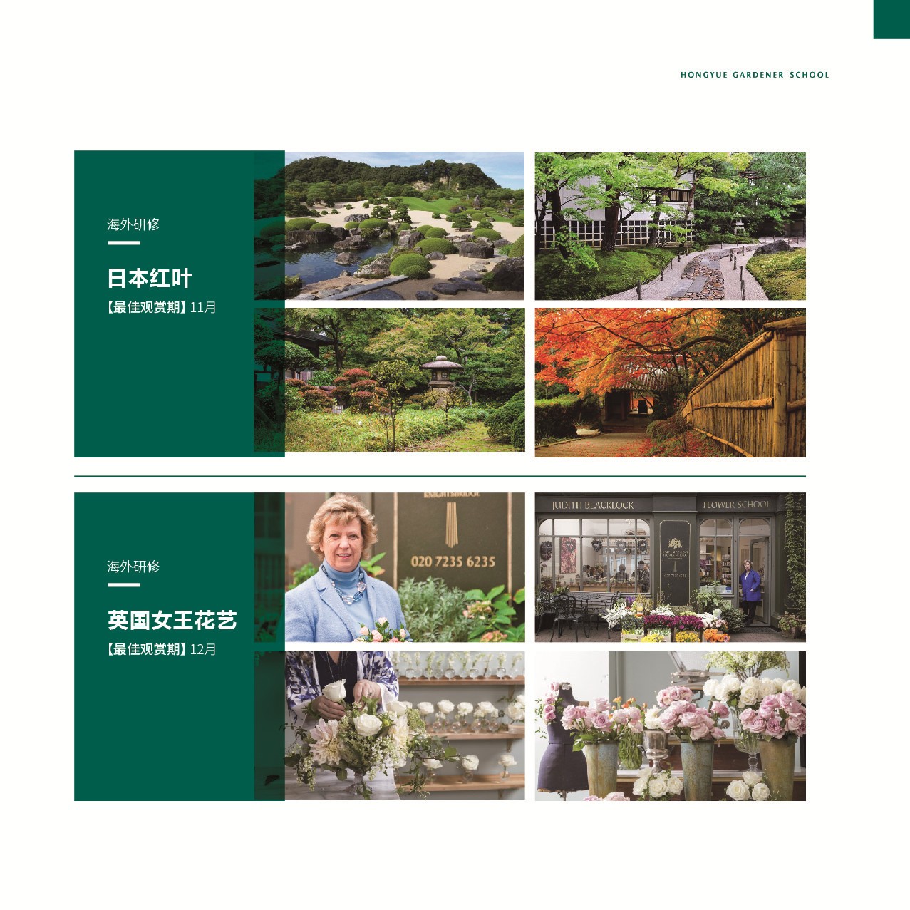 课程模？？-外洋研修班-园丁学院-专业效劳-亚美国际