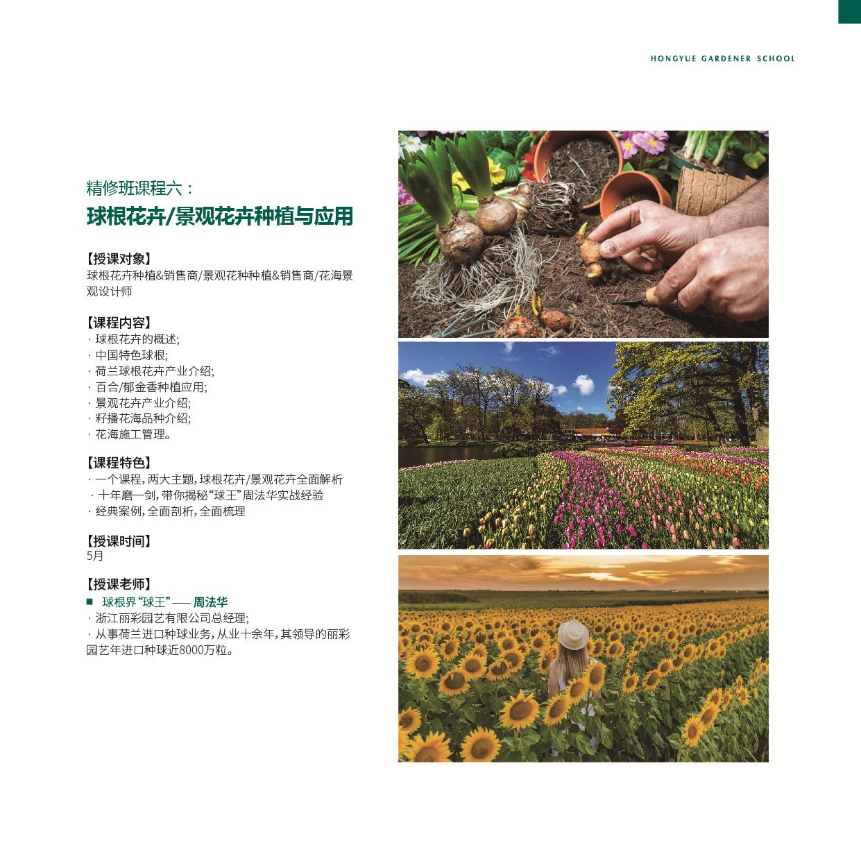课程？？？-精修班-园丁学院-专业效劳-亚美国际