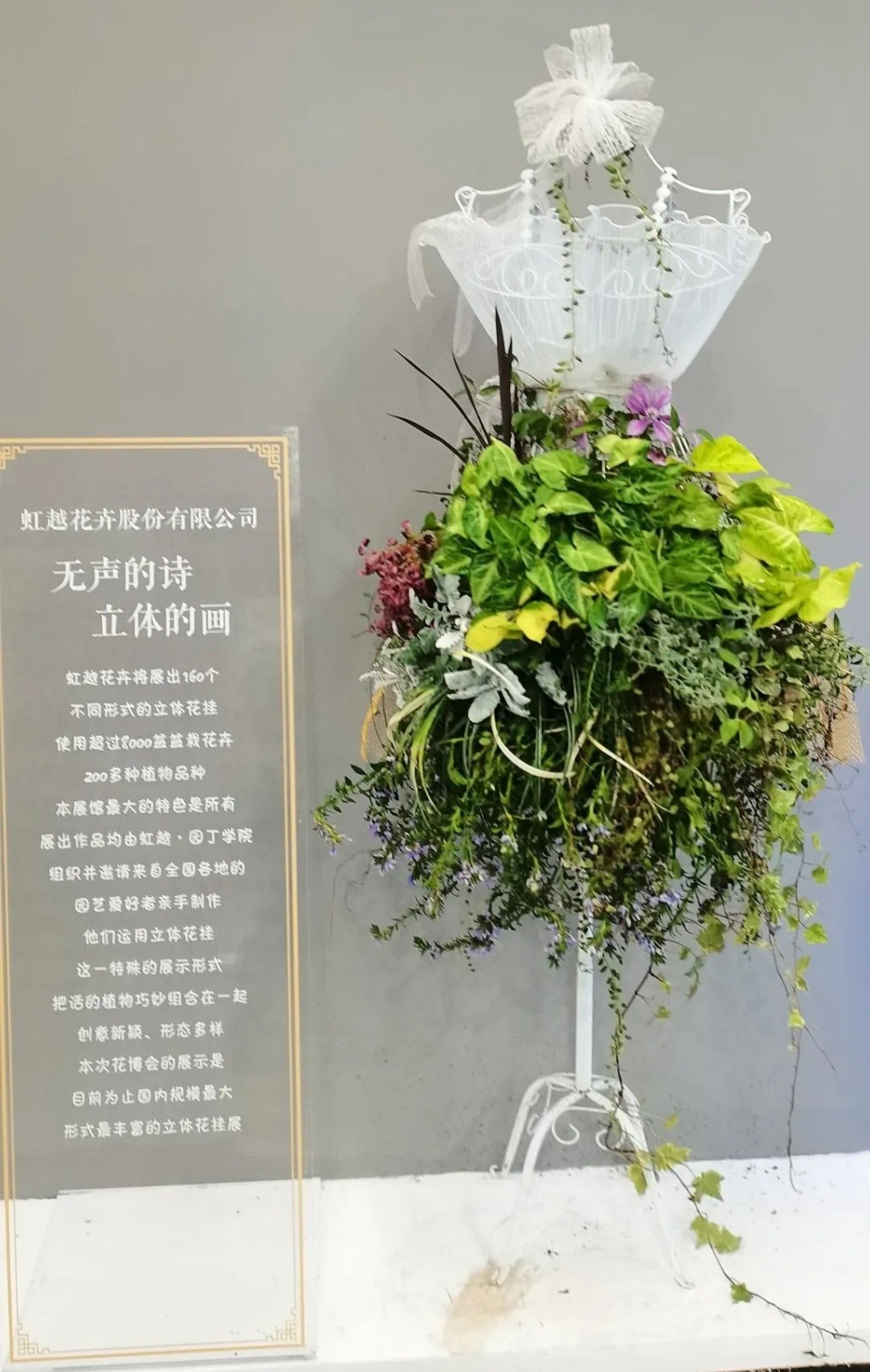 第10届花博会，，，，，亚美国际喜获11项大奖！-新闻资讯-亚美国际