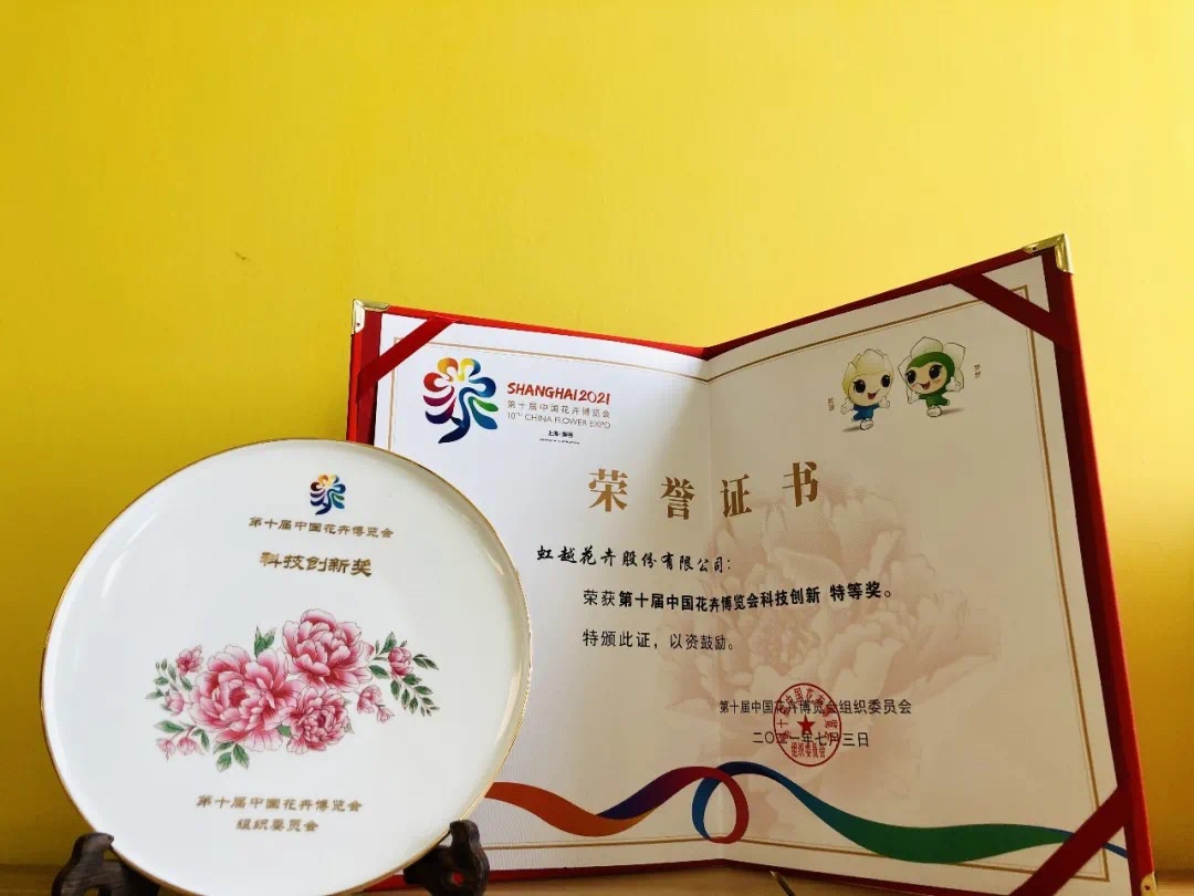 第10届花博会，，，，，亚美国际喜获11项大奖！-新闻资讯-亚美国际